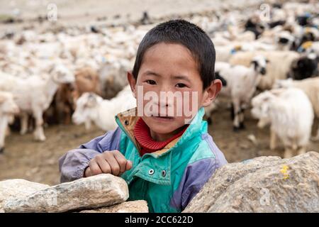 TIBET, CHANGTANG, LADAKH, INDIA - 06 LUGLIO 2017: Ritratto del giovane i Changpa sono un popolo tibetano semi-nomade che si trova principalmente nel Changtang in L. Foto Stock