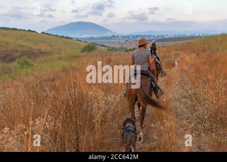 Passeggiate a cavallo nella valle di Jezreel, Israele. Mount Tabor può essere visto in background Foto Stock