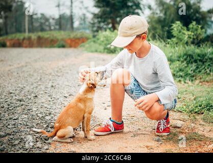 Ragazzo incontrò un piccolo cucciolo senza casa per strada Foto Stock