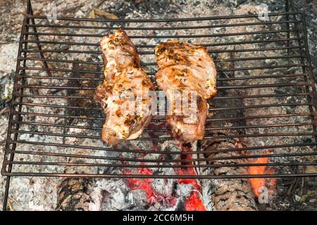 Deliziose bistecche di maiale arrudite su costolette in salsa con spezie vengono cucinate su calici su una griglia di metallo in un picnic. Sfondo. Foto Stock