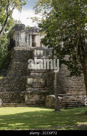 Vista verticale del tempio Maya di Dzibanche a Quintana Roo, Messico. Foto Stock