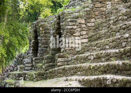 Dettaglio del tempio Maya di Dzibanche in Messico con crescita eccessiva. Foto Stock