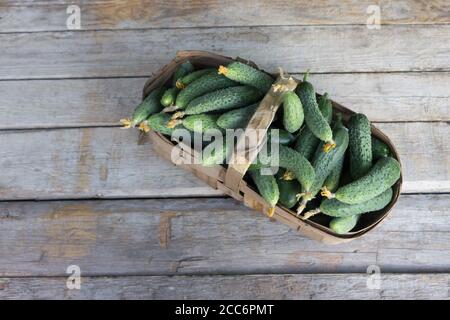 Cetrioli freschi in un cesto su sfondo di legno. Foto Stock