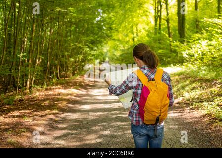 donna camminatore con uno zaino che legge una mappa, strada forestale, vista posteriore. Foto Stock