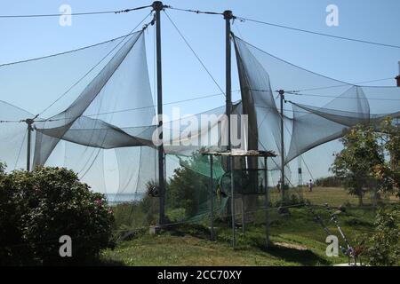 Grande trappola di uccelli presso la stazione ornitologica, vicino alla Laguna di Curonian, Ventes ragas. Lituania Foto Stock