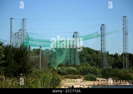 Grande trappola di uccelli presso la stazione ornitologica, vicino alla Laguna di Curonian, Ventes ragas. Lituania Foto Stock