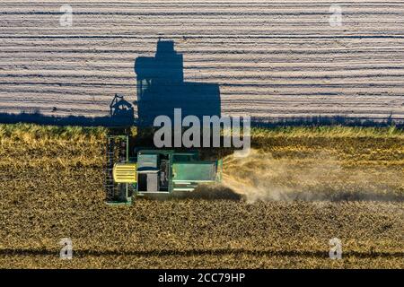 Vista dall'alto della mietitrebbiatrice che lavora sul campo, tempo di mietitura Foto Stock