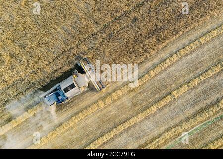 Vista dall'alto della mietitrebbiatrice che lavora sul campo, tempo di mietitura Foto Stock