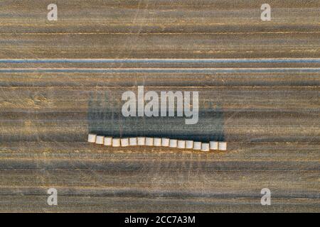 Vista dall'alto delle balle rotonde di fieno sulle stoppie, tempo di mietitura Foto Stock