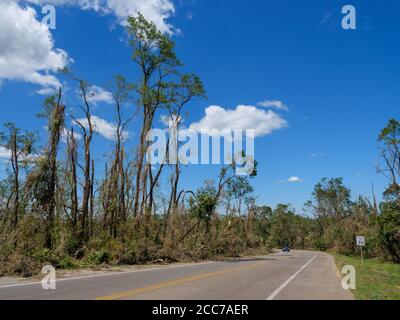 Alberi alti soffiati o danneggiati da derecho del 10 agosto 2020 a Van Vechten Park. Cedar Rapids, Iowa. Foto Stock