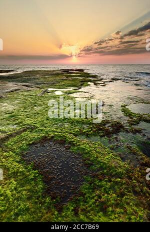 Alba a Cabo Cervera a Torrevieja, provincia di Alicante in Spagna. Scatto verticale con spazio per il testo. Foto Stock