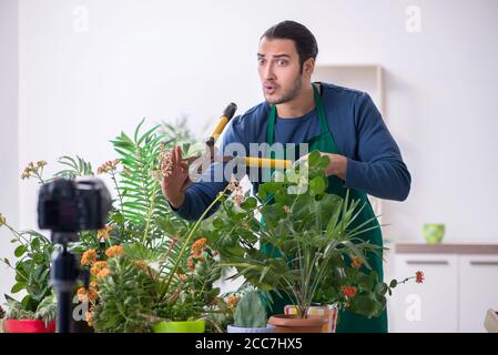 Giardiniere giovane con piante al chiuso Foto Stock