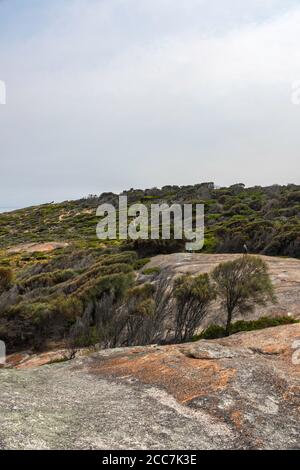 Escursionisti a Trusers Point, Flinders Island, Furneaux Group, Tasmania Foto Stock