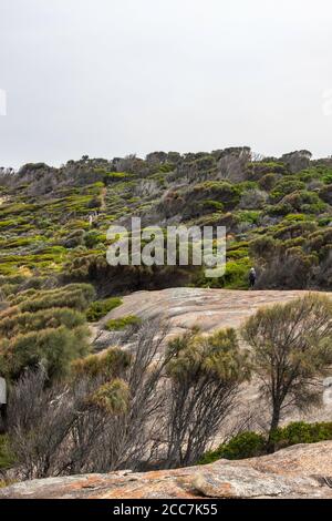 Escursionisti a Trusers Point, Flinders Island, Furneaux Group, Tasmania Foto Stock