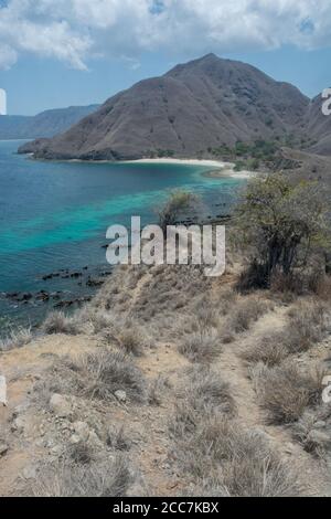 La costa del Parco Nazionale di Komodo in Indonesia, queste isole sono considerate un sito patrimonio mondiale dell'UNESCO per la loro unicità. Foto Stock