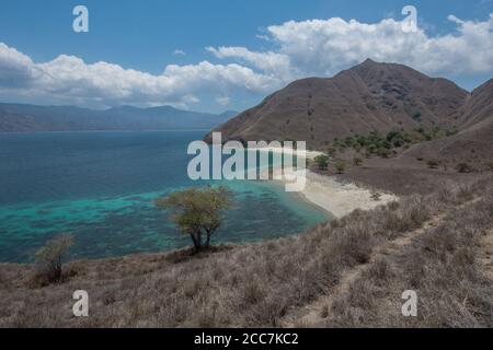 La costa del Parco Nazionale di Komodo in Indonesia, queste isole sono considerate un sito patrimonio mondiale dell'UNESCO per la loro unicità. Foto Stock