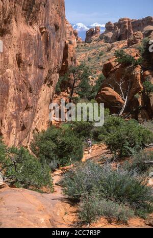 Arches National Monument, Utah. Sentiero per Double o Arch. Foto Stock