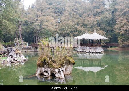 Contea di Chiayi, Taiwan - Laghi di Jiemei (Sister) nell'area paesaggistica nazionale di Alishan, Contea di Chiayi, Taiwan. Foto Stock