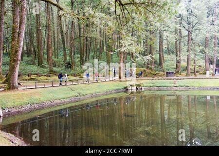 Contea di Chiayi, Taiwan - Laghi di Jiemei (Sister) nell'area paesaggistica nazionale di Alishan, Contea di Chiayi, Taiwan. Foto Stock