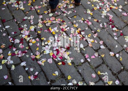 Lancio di petali in un matrimonio italiano, Italia Foto stock - Alamy