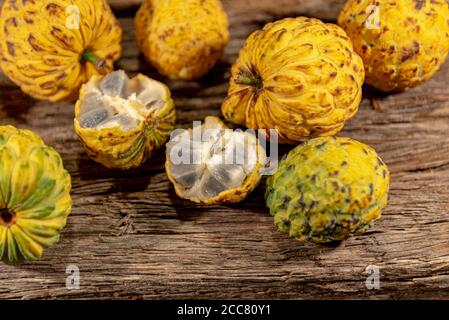 Frutto della crassiflora Annona. L'araticum è un frutto del brasiliano Cerrado, è carnoso e può pesare fino a due chili. Molto simile a. Foto Stock