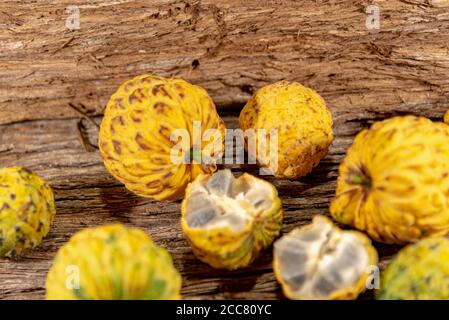 Frutto della crassiflora Annona. L'araticum è un frutto del brasiliano Cerrado, è carnoso e può pesare fino a due chili. Molto simile a. Foto Stock