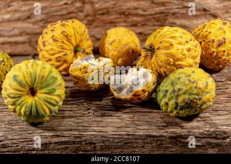 Frutto della crassiflora Annona. L'araticum è un frutto del brasiliano Cerrado, è carnoso e può pesare fino a due chili. Molto simile a. Foto Stock