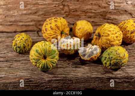 Frutto della crassiflora Annona. L'araticum è un frutto del brasiliano Cerrado, è carnoso e può pesare fino a due chili. Molto simile a. Foto Stock