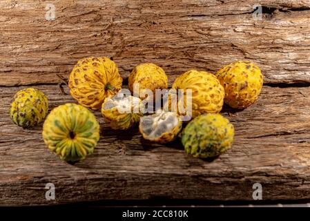 Frutto della crassiflora Annona. L'araticum è un frutto del brasiliano Cerrado, è carnoso e può pesare fino a due chili. Molto simile a. Foto Stock