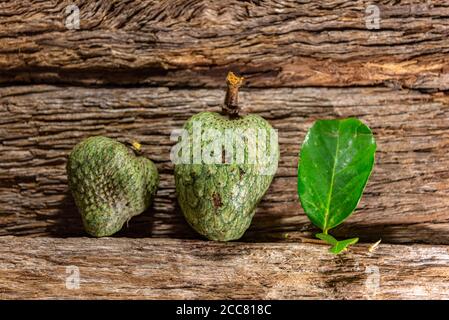 Atemoia frutta e foglia. Atemoia è un frutto ibrido che si ottiene attraversando la cherimoia (Annona cherimola, Mulino) con l'ananas (Annona squamos Foto Stock