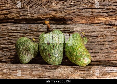 Atemoia frutta e foglia. Atemoia è un frutto ibrido che si ottiene attraversando la cherimoia (Annona cherimola, Mulino) con l'ananas (Annona squamos Foto Stock