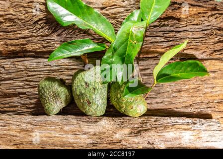 Atemoia frutta e foglia. Atemoia è un frutto ibrido che si ottiene attraversando la cherimoia (Annona cherimola, Mulino) con l'ananas (Annona squamos Foto Stock