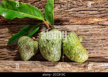 Atemoia frutta e foglia. Atemoia è un frutto ibrido che si ottiene attraversando la cherimoia (Annona cherimola, Mulino) con l'ananas (Annona squamos Foto Stock