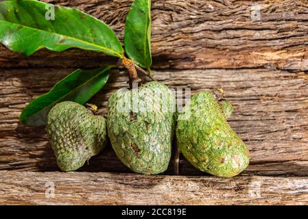 Atemoia frutta e foglia. Atemoia è un frutto ibrido che si ottiene attraversando la cherimoia (Annona cherimola, Mulino) con l'ananas (Annona squamos Foto Stock