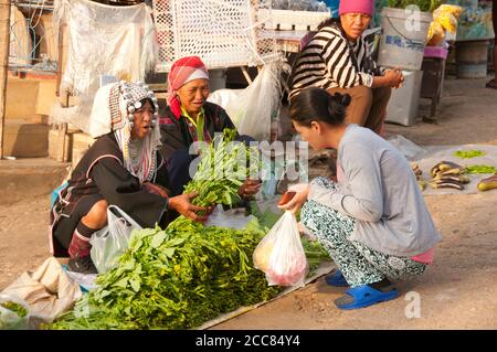 Thailandia: Akha commercianti che vendono Choy Sum o cavolo cinese al mercato di mattina presto in Doi Mae Salong (Santikhiri), provincia di Chiang Rai. Gli Akha sono una tribù collinare di contadini di sussistenza noti per la loro arte. Gli Akha sono distribuiti in piccoli villaggi tra le montagne della Cina, del Laos, del Myanmar (Birmania) e della Thailandia settentrionale. Doi Mae Salong era un tempo un impoverito, pesantemente armato Kuomintang (KMT) avamposto, è oggi una tranquilla oasi di giardini del tè, frutteti e case in stile Yunnanese. Foto Stock