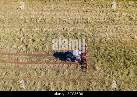 Vista dall'alto del trattore con i dispositivi di fissaggio, essiccazione del fieno falciato Foto Stock