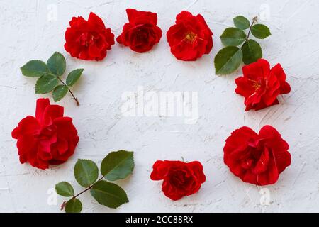 Gemme di rose rosse e foglie verdi sullo sfondo strutturato bianco. Cornice naturale da fiori. Vista dall'alto. Foto Stock