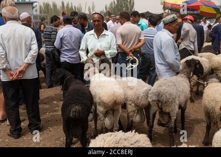 KASHGAR, CINA: Un uomo Uyghur che cerca di vendere le sue pecore al mercato domenicale vicino a Kashgar nella regione autonoma di Xinjiang Uyghur Foto Stock