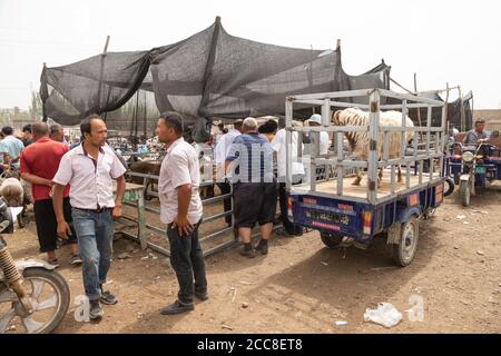 KASHGAR, CINA: Una folla di persone al mercato domenicale vicino a Kashgar nella regione autonoma di Xinjiang Uyghur Foto Stock