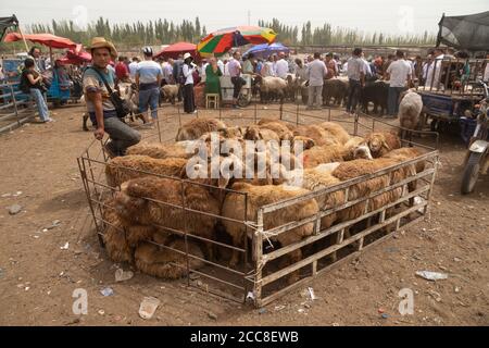 KASHGAR, CINA: Un uomo Uyghur che vende alcune pecore al mercato domenicale vicino a Kashgar nella regione autonoma di Xinjiang Uyghur Foto Stock