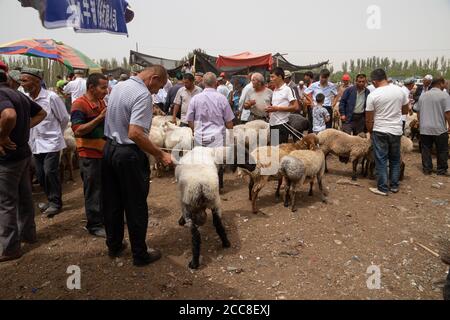KASHGAR, CINA: Uyghur uomini che comprano e vendono pecore al mercato domenicale, vicino a Kashgar nella regione autonoma di Xinjiang Uyghur Foto Stock