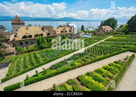 Svizzera, Canton Vaud, Nyon, vista dalla Promenade des vielles Murailles verso Quartier de Rive e il Lago di Ginevra Foto Stock