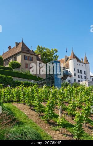 Svizzera, Canton Vaud, Nyon, Quartier de Rive, vista attraverso il vigneto per ascensore fino al castello Foto Stock