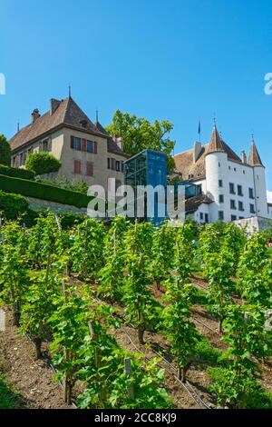 Svizzera, Canton Vaud, Nyon, Quartier de Rive, vista attraverso il vigneto per ascensore fino al castello Foto Stock