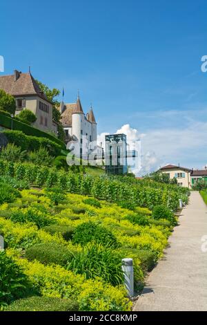 Svizzera, Canton Vaud, Nyon, Quartier de Rive, vista attraverso il vigneto per ascensore fino al castello Foto Stock