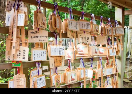 Kashima, Giappone - tradizionale tavoletta di preghiera in legno (Ema) al Santuario di Kashima (Santuario di Kashima jingu) a Kashima, Prefettura di Ibaraki, Giappone. Foto Stock