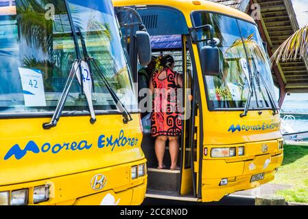 Moorea, Polinesia Francese: 09/03/2018: Una donna locale che aspetta accanto all'autobus per mostrare l'isola tropicale ai turisti. Paradiso in Polinesia francese Foto Stock