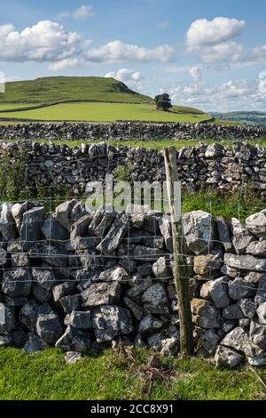Tipico calcare secco pareti di pietra del White Peak vicino Alstonefield e vista verso Narrowdale Hill, Peak District National Park, Staffordshire Foto Stock