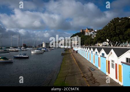 Boat Harbour e Boatsheds, Wellington, Isola del Nord, Nuova Zelanda Foto Stock