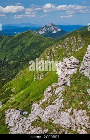 Montagna Velky Rozsutec in lontananza, formazioni rocciose dolomite-calcaree, sentiero per la cima Chleb, Parco Nazionale Mala Fatra, Regione Zilina, Slovacchia Foto Stock